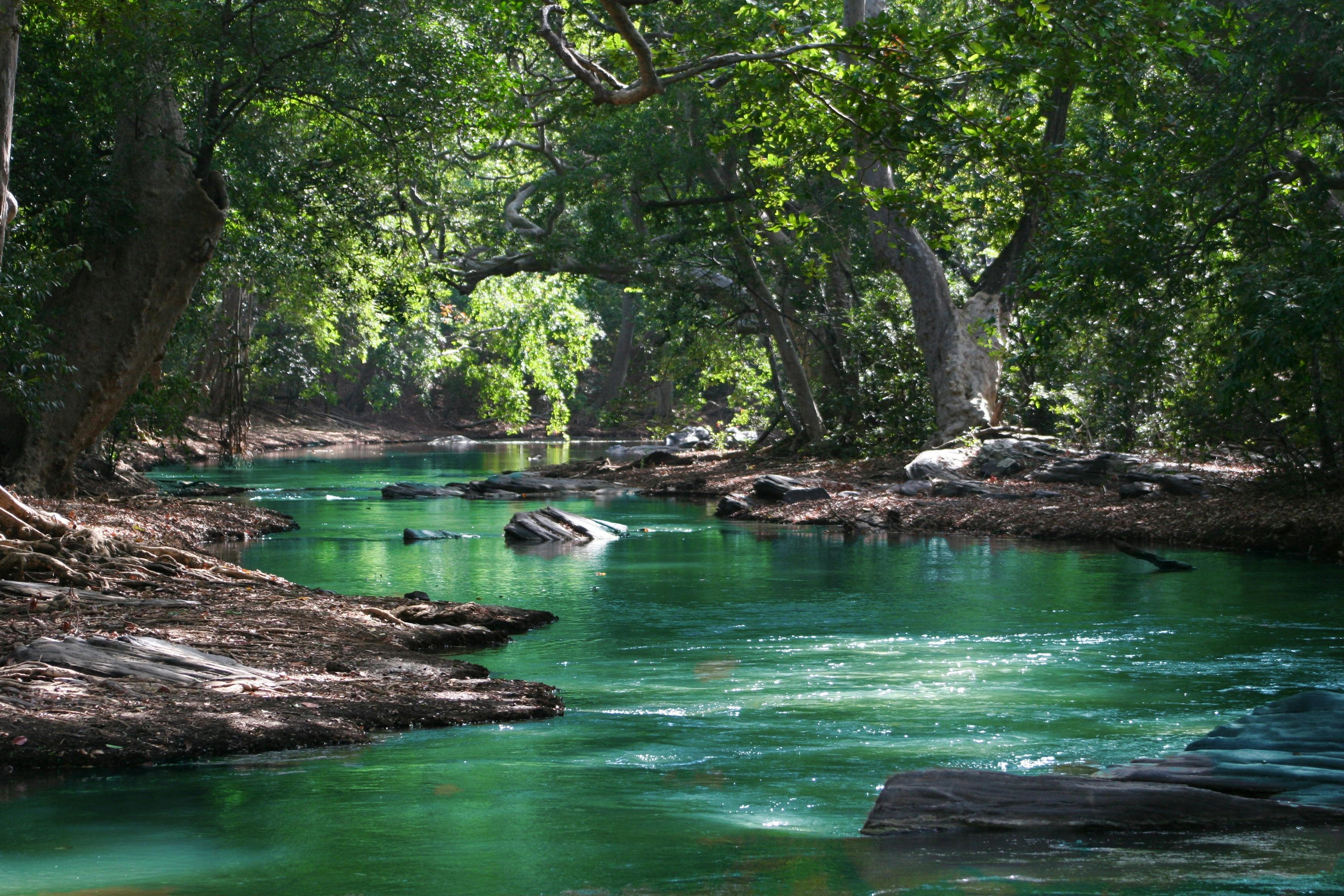 2025년 7월 30일 띠별 운세 총정리: 내 운세는 어떨까?