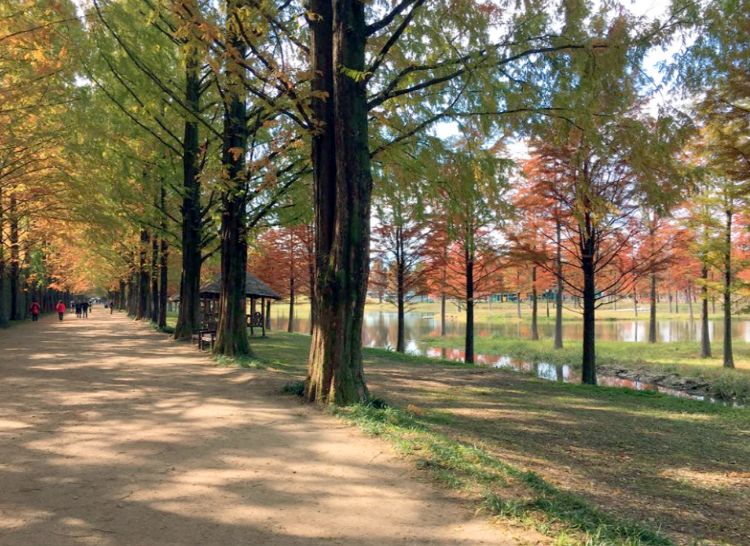 담양 곤충박물관