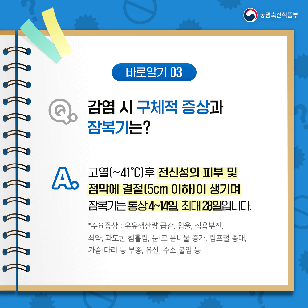 럼피스킨이 사람에게 미치는 영향과 럼피스킨이란?