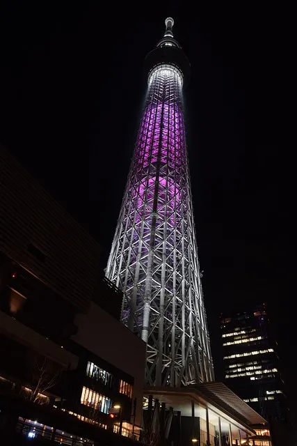 2025 도쿄 스카이트리에서 만나는 픽사 명작 토이 스토리 특별 전시 이벤트 안내_5