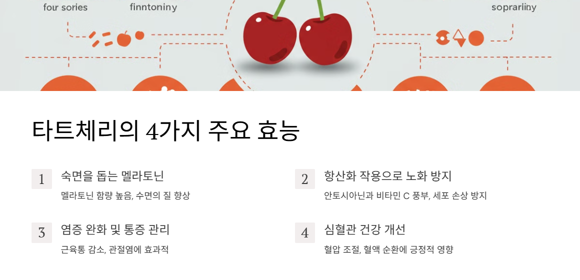 타트체리의 4가지 주요 효능