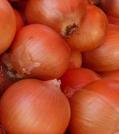 양파 효능 사진3