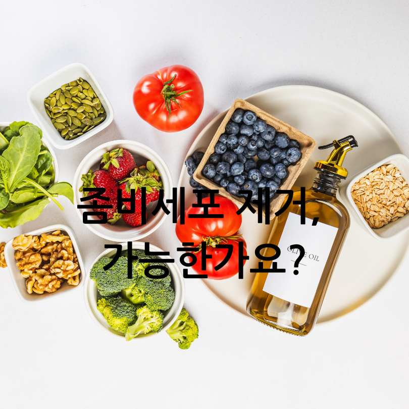  좀비세포 제거 음식 BEST 5