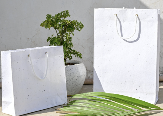 복숭아 보관방법 12