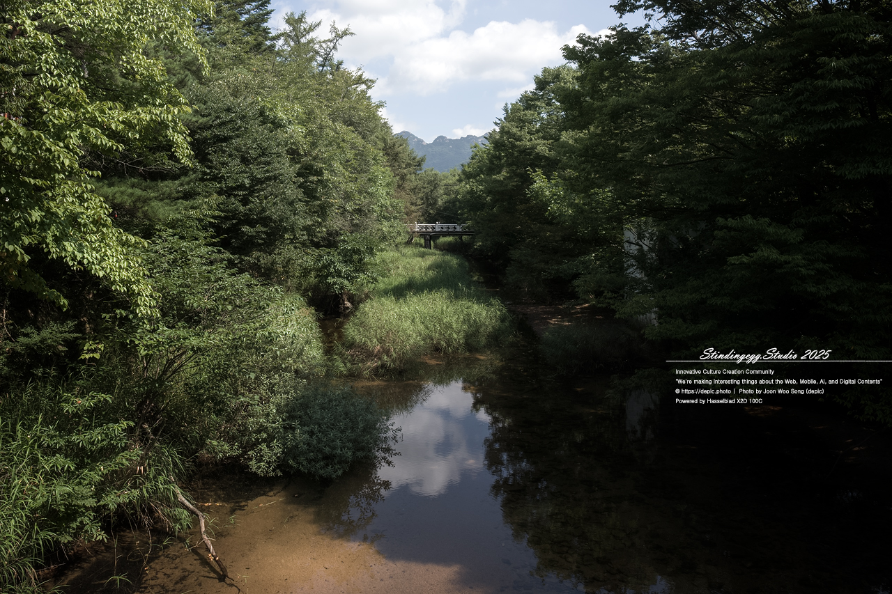 #보은 #법주사 #속리산 #생태탐방로 #속리산조각공원