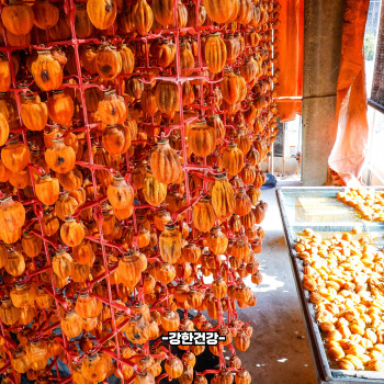 대봉감 곶감 만드는법