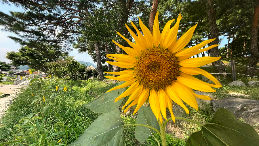 아산 외암민속마을