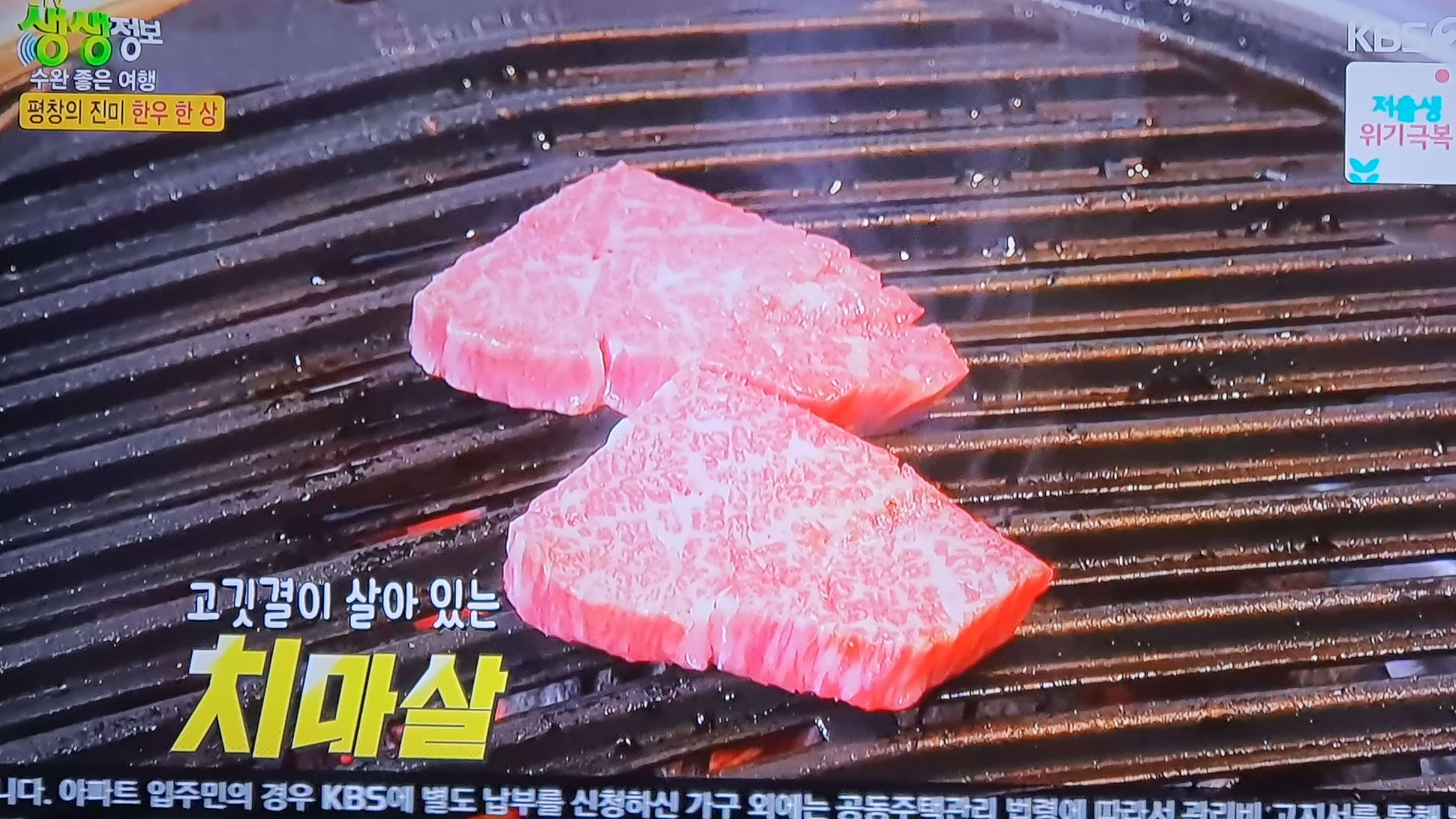 생생 정보통 맛집 식당 정보