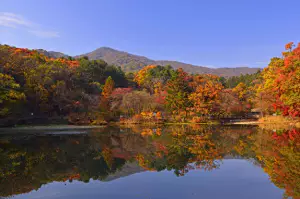 광릉수목원