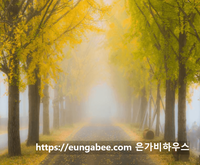 충청지역 단풍 명소