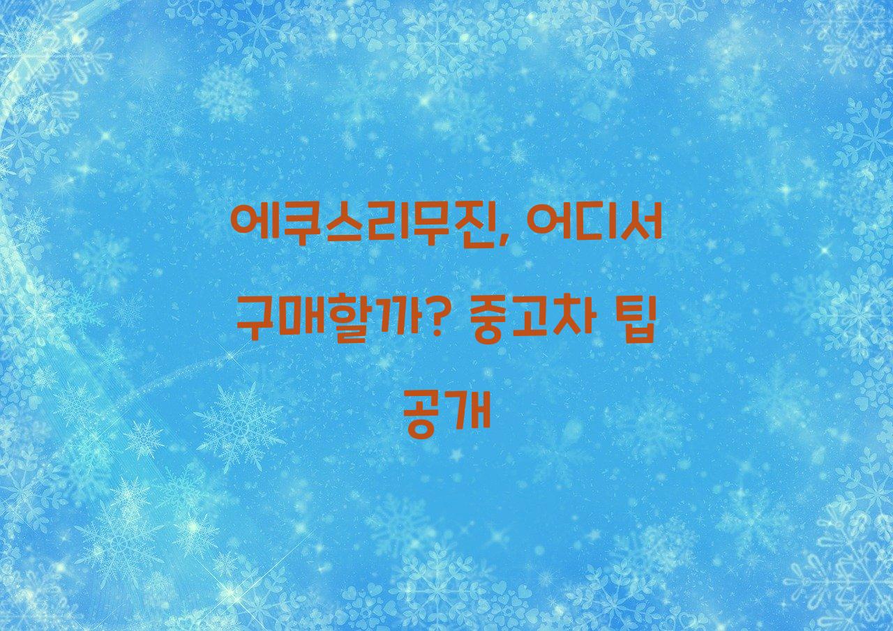 에쿠스리무진