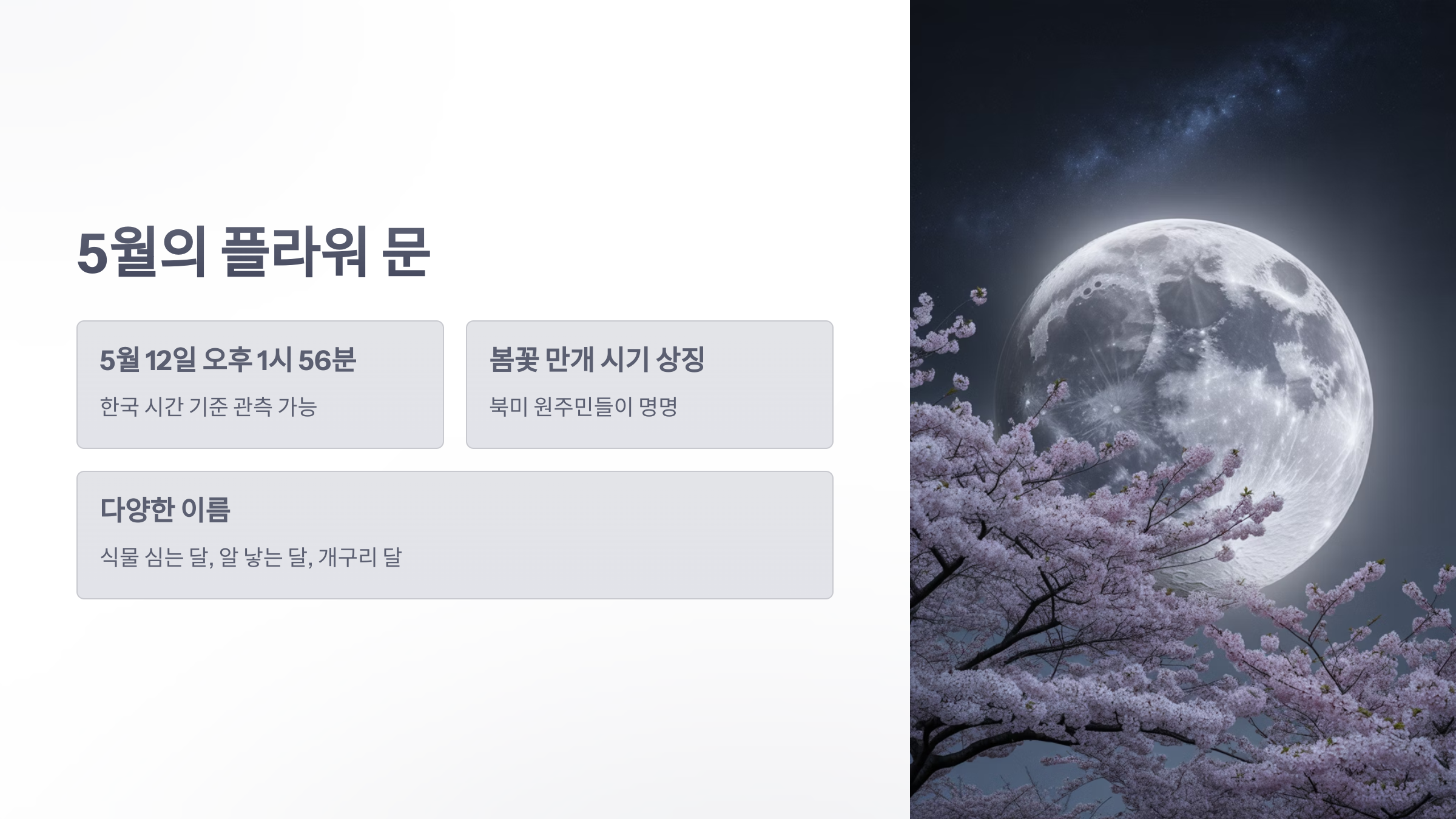 참조-바다가는-달,-5월-2