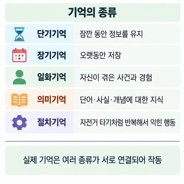 단기기억 장기기억 일화기억 의미기억 절차기억의 특징을 비교한 인지 학습 인포그래픽