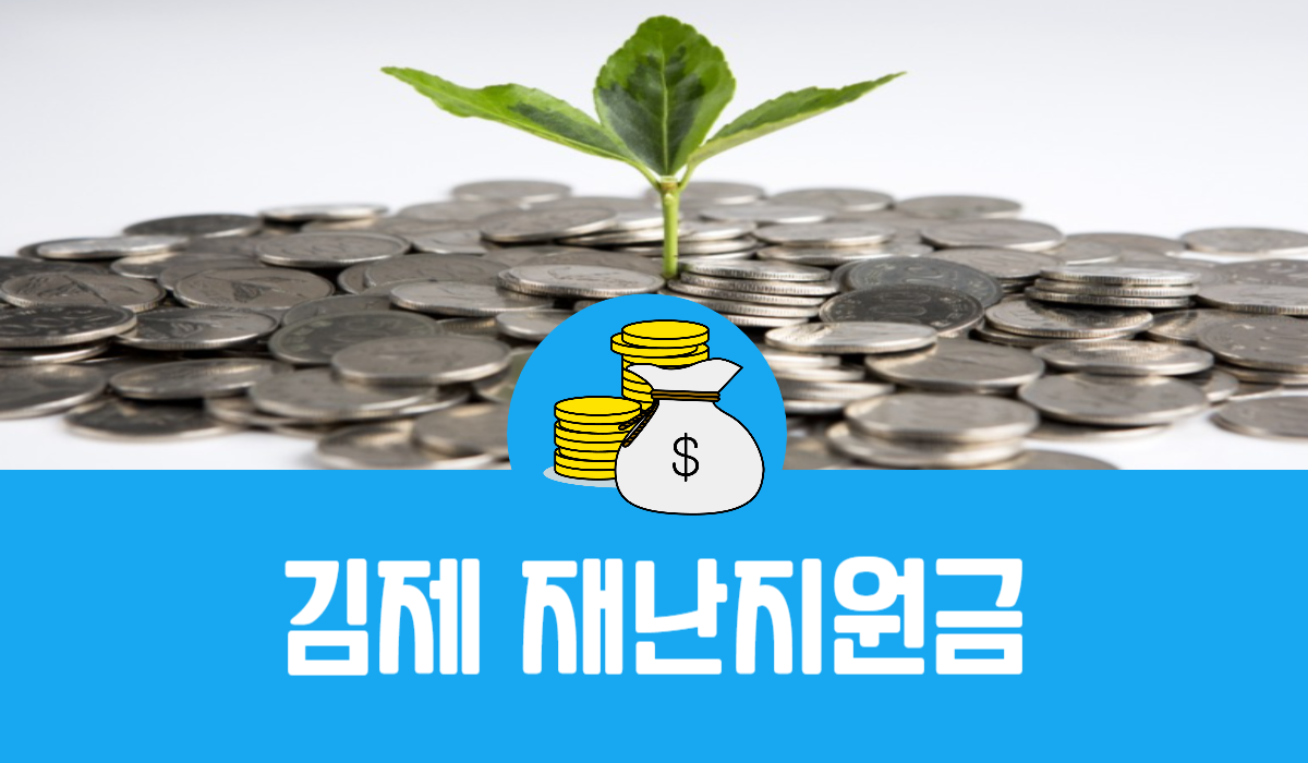 김제 재난지원금