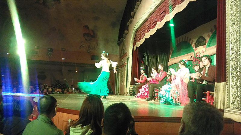 정열의 플라멩고(Flamenco)