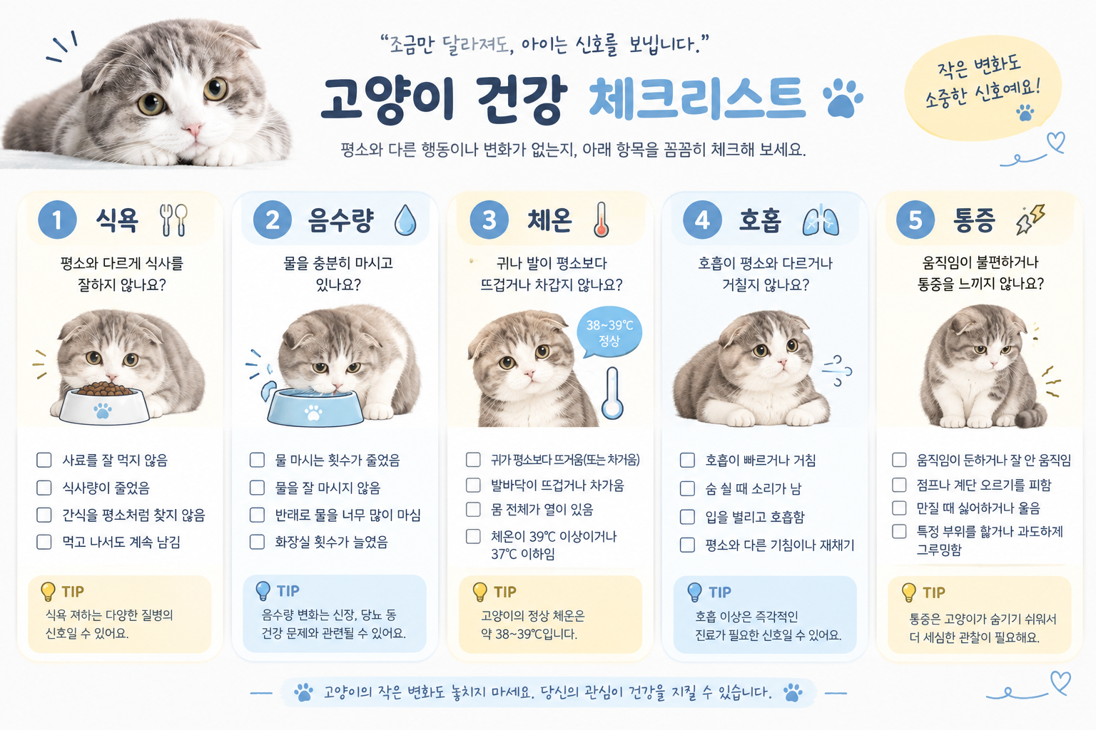 고양이 건강 체크리스트 항목을 확인하는 일러스트