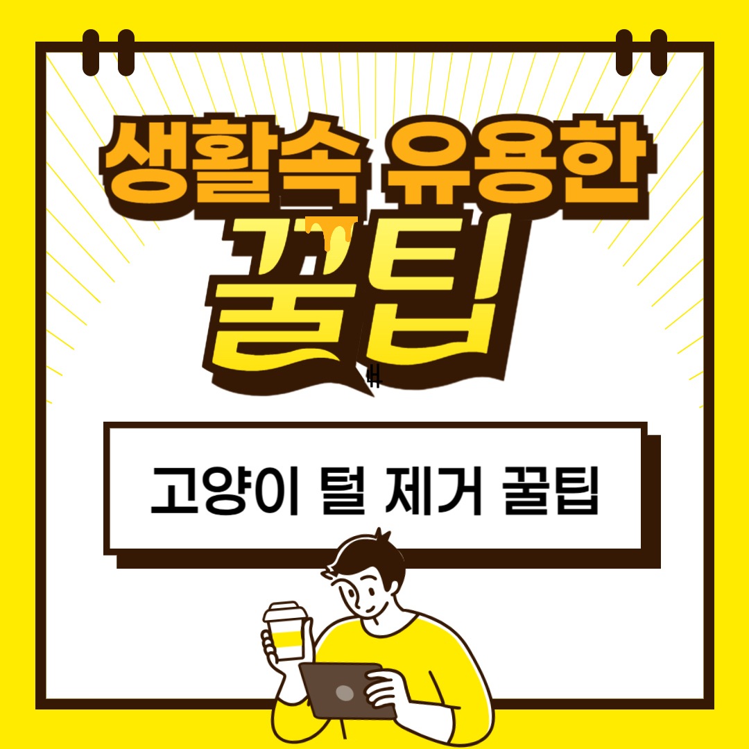고양이 털 제거 꿀팁 ❘ 가구와 옷에 묻은 털을 빠르게!
