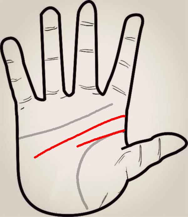 두뇌선 2개인 손금