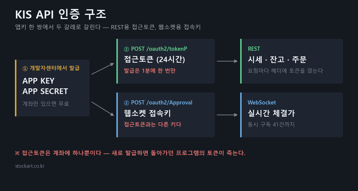 KIS API 인증 구조 — 앱키에서 접근토큰과 웹소켓 접속키로 갈린다