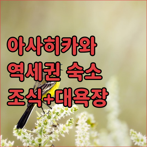 홋카이도 아사히카와 호텔 비교 추천 ..