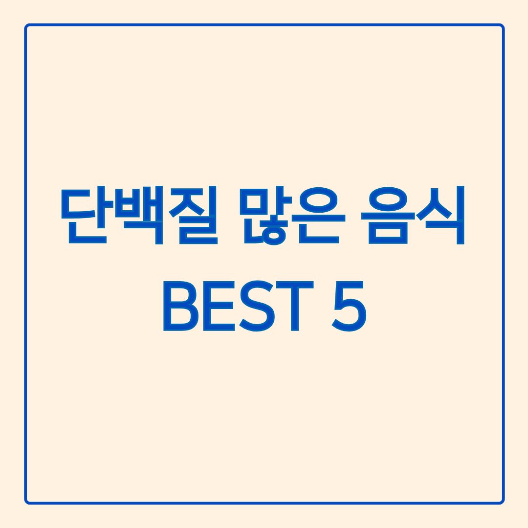 단백질 많은 음식 BEST 5 다이어트에 좋은 고단백 식품