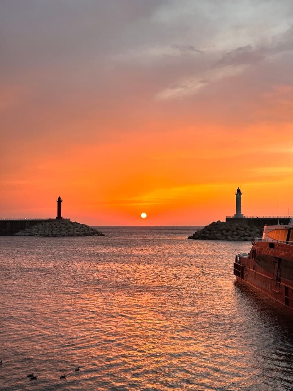 울릉도 정기 방문자의 꿀팁! 서울에서 강릉을 통해 울릉도 가는 방법