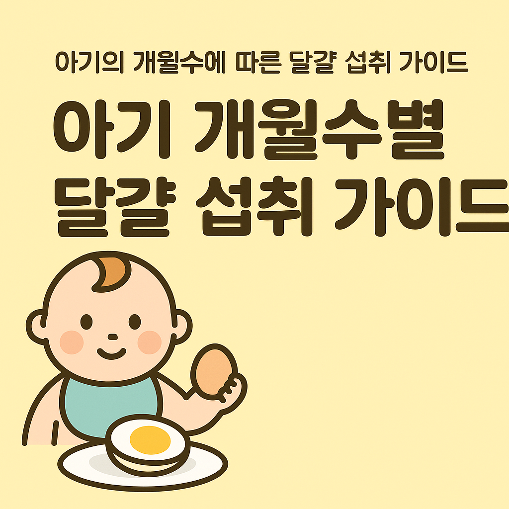 아기의 개월수별 달걀 섭취 가이드: 건강하게 먹이는 방법과 주의사항