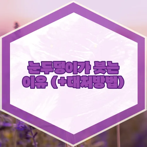 눈두덩이가 붓는 이유 (+대처방법)