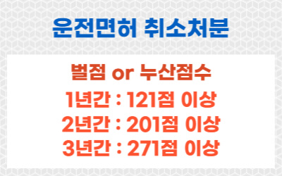 운전면허-취소처분