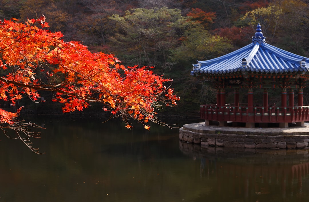 Jeongeup
