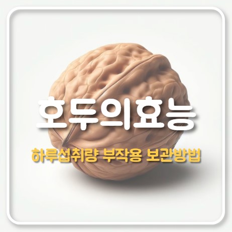호두의 효능
