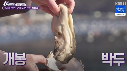 고성삼베체굴
