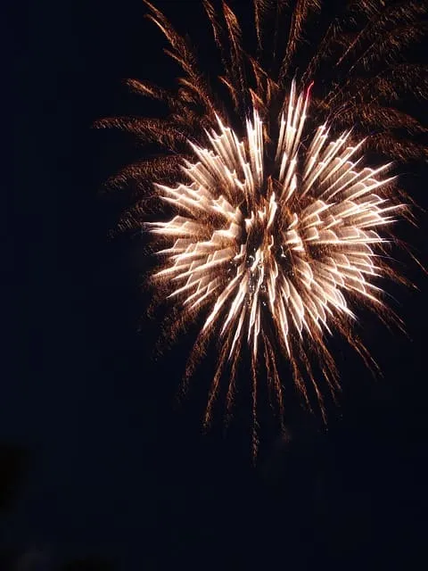 2025 9월 동행축제 개막!