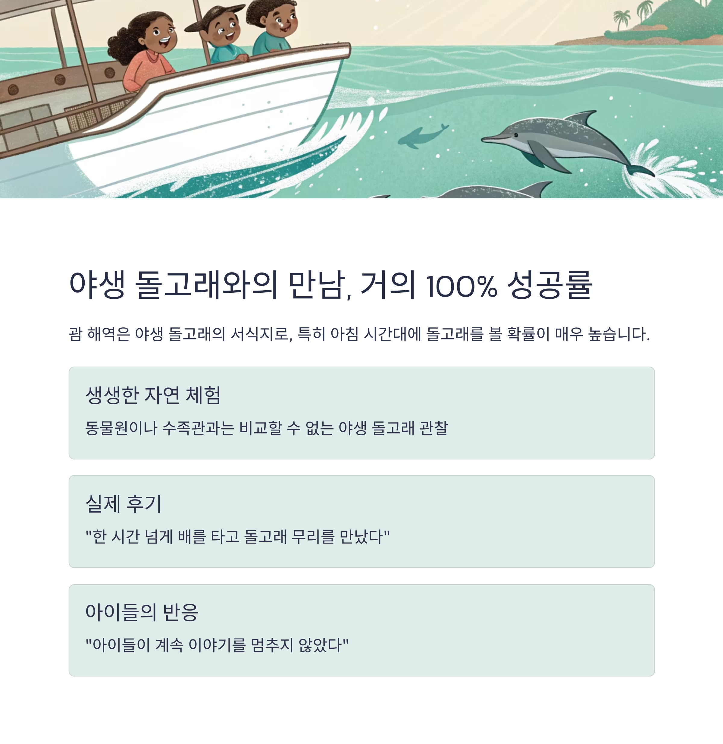 야생 돌고래와의 만남, 거의 100% 성공률