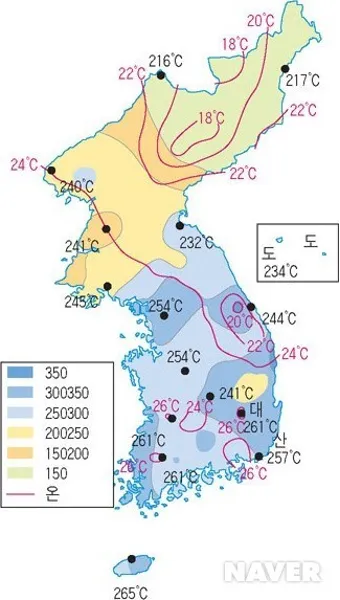 강수량 지도 실시간 확인 하수구 막힘 점검 방법_22