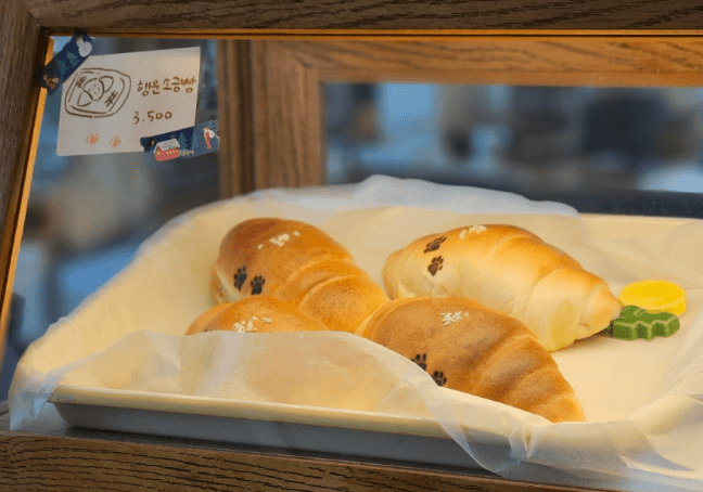 통영 고양이 회관