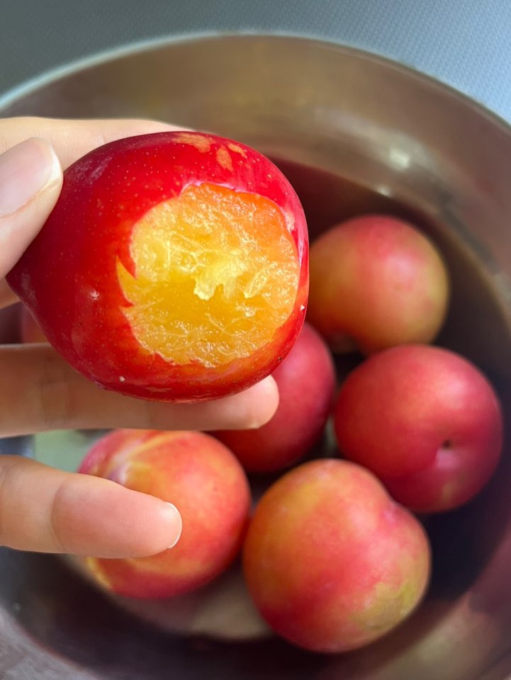 자두청 만들기 사진