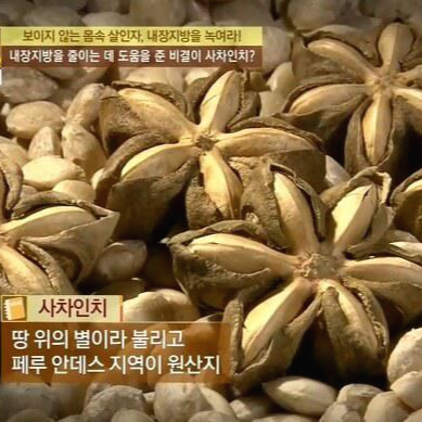 땅 위의 별&amp;#44; 식물성 오메가3 사차인치 7가지 효능과 부작용