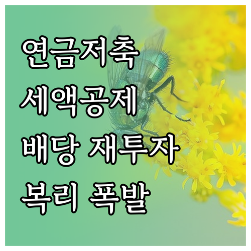 연금저축 세액공제와 배당금 재투자 복..