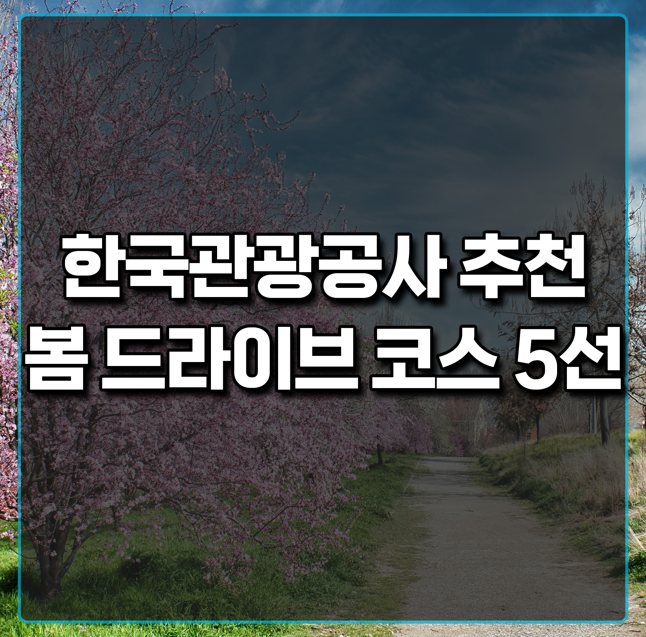 한국관광공사-추천-봄-드라이브코스-5선