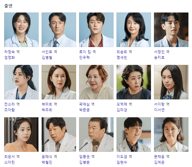 닥터 차정숙 드라마 몇부작