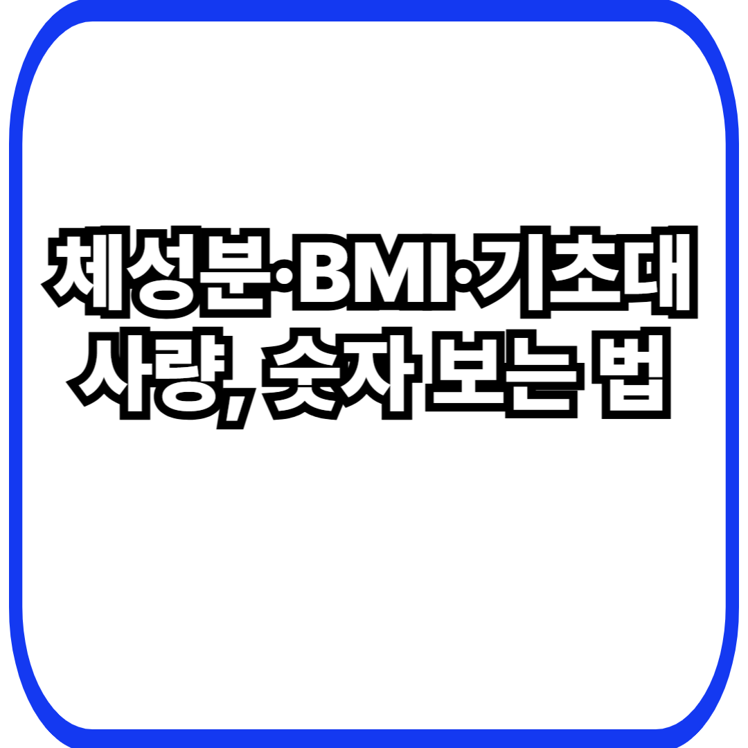 체성분&middot;BMI&middot;기초대사량, 숫자 보는 법