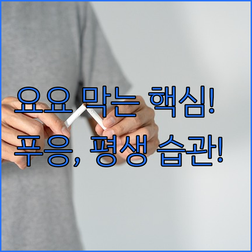다이어트 종료 직후 1~3개월 푸응 ..