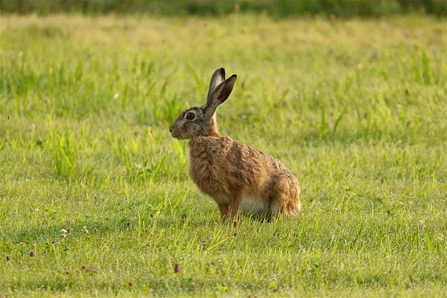 좋은 짧은 글귀 짧지만 감동적인 글귀 베스트10 정리_8