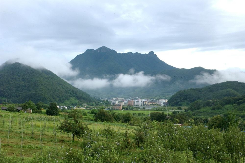 2025 제3회 문경트롯가요제 완벽 가이드 &amp;#124; 대상 3천만원 전국가요제 총정리&amp;quot;