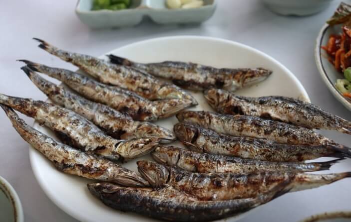 생생정보 생생현장 이화장횟집 기장 대변항 멸치맛집 2025기장멸치축제