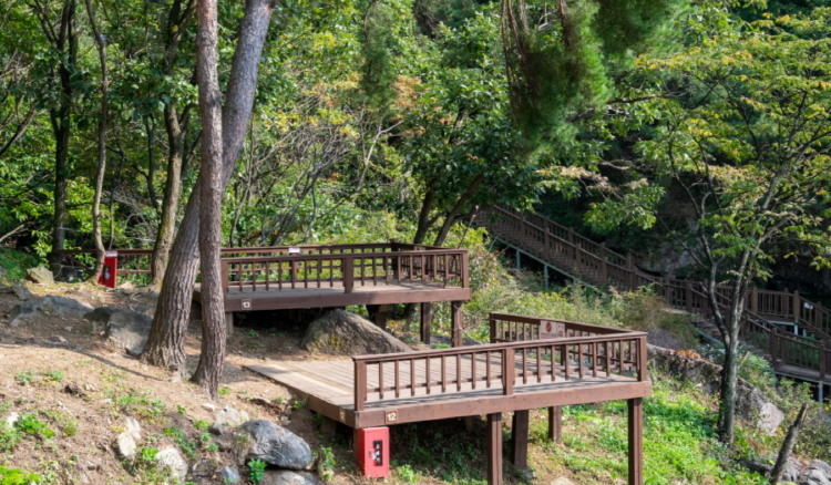 용문산 자연휴양림