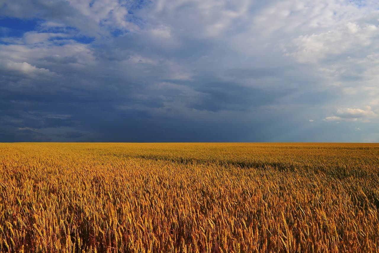 스위스의 산악 지역 농업과 치즈 생산