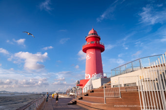 거북섬 스케이트장, 200% 즐기는 꿀팁
