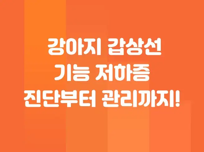 우리 강아지 갑상선 기능 저하증. 진단부터 관리까지!